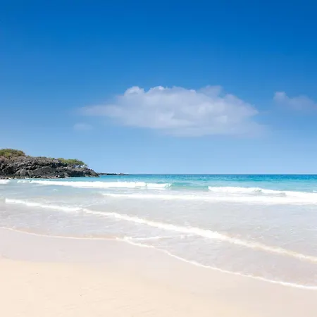 Ocean Palsm Villa Refined 3Br Waiulaula Home With Stunning Ocean Views